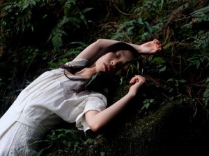 体を求める彼がおぞましい生き物に見え、私の「花様年華」は終わった