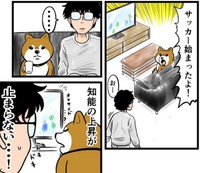 ついには喋り出すケン（夢窓かずみさん提供）