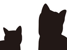 犬猫の引き取り業者を送検　劣悪な環境で飼育、虐待の疑い