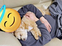 大好きなパパに甘えて爆睡するきぬくん（画像提供：きぬさん）