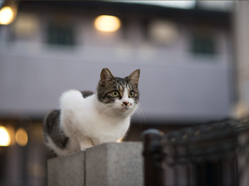 「『まちぶせ』って昔はヒット曲もあったけど今じゃストカーだね」（小林写函）