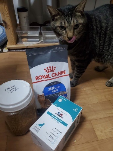 はっぴーはペットショップで買えるローカロリー中心（手前はイヌオに買った糖尿用療法食ですが、減量用途もあるのではっぴー用に）