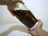 フタつき瓶に仕込んだ手づくり醤油キット（画像提供：マルカワみそ）