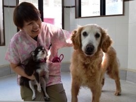 Amazonで買って保護施設を支援　犬猫を助ける新しい仕組み