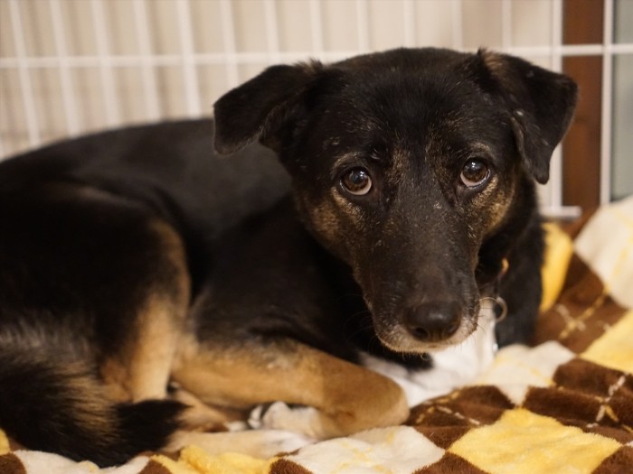 じーーっ！「ルナちゃん、何考えているの？」「うーんと、本当はもっとみんなと遊びたいなとか……やっぱヒミツ」