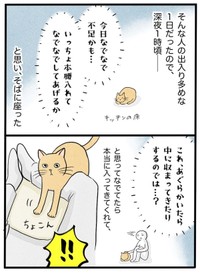 【漫画】『ネコと暮らした9日間』56（イゴカオリさん提供）
