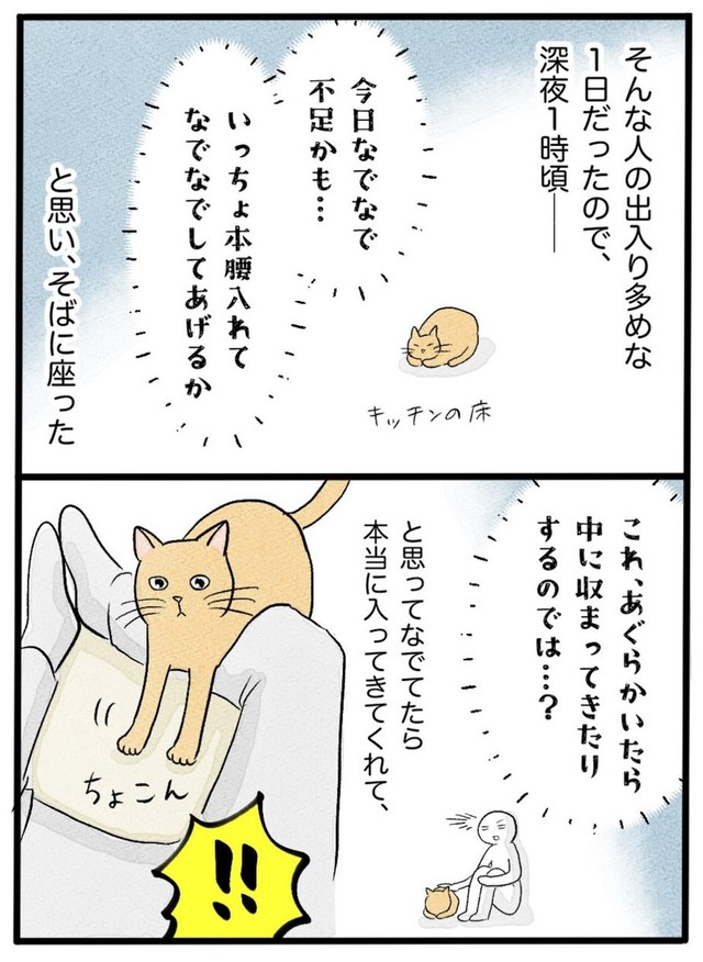 【漫画】『ネコと暮らした9日間』56（イゴカオリさん提供）