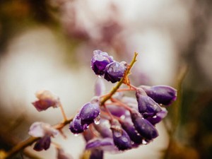 ゆるキャラポジションだったおじさん先生「Nちん」の、結婚秘話