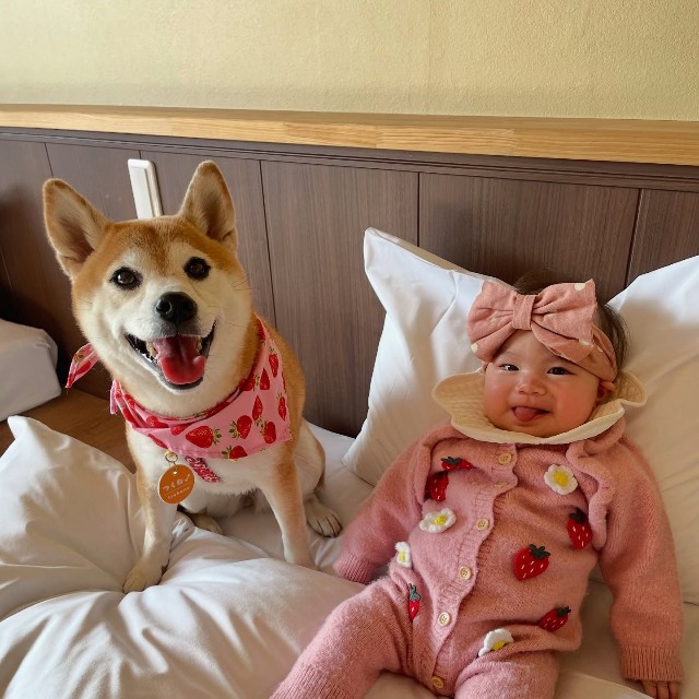 初めての旅行も一緒に行ったよ♡（提供：@shiba.tsukuneさん）