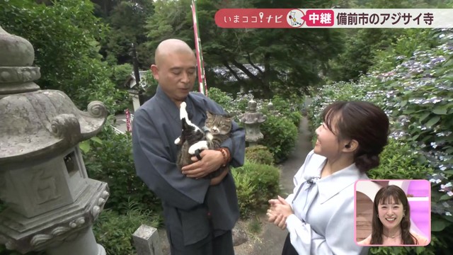 【中継】梅雨の風物詩・アジサイ　備前市の大瀧山西法院で見頃に　岡山【いまココ！ナビ】