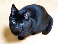 すくすくと成長したあんずちゃん（画像提供：きのひとまるさん）