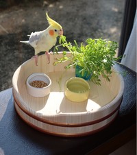 （提供:立花容器）