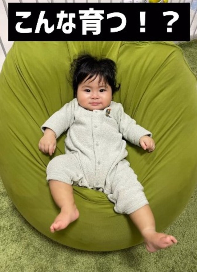 〈アフター〉半年後、生後8カ月では貫禄たっぷりの座り姿に／ぼんずとぱぱさん（@bonzu_papa）提供