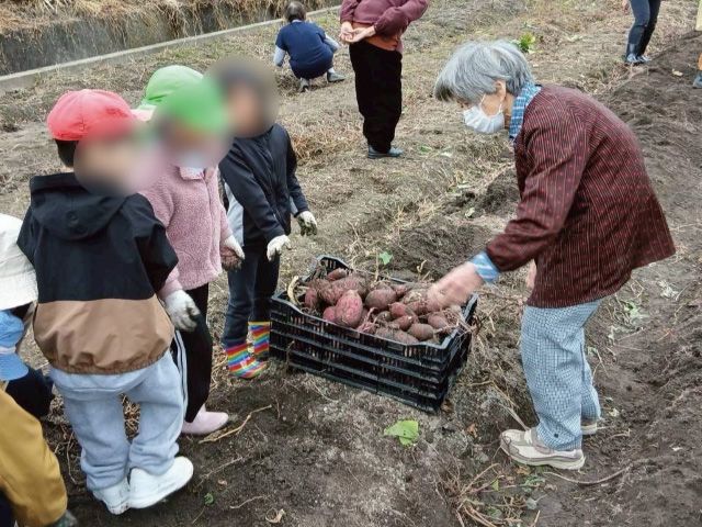 メンバーさんが見つけたさつまいもを子どもに渡しています
