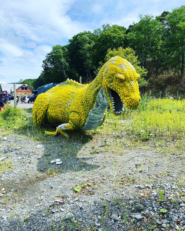 事故後、地面に倒されたマイケル君（提供画像）