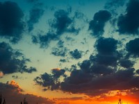 あれは結局何の匂い？私の通学路には個性豊かな住人たちがいた