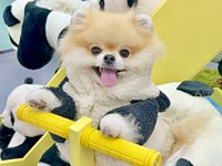 おもちゃ大好き！ にこにこ笑顔のレオくん（画像提供：レオさん）
