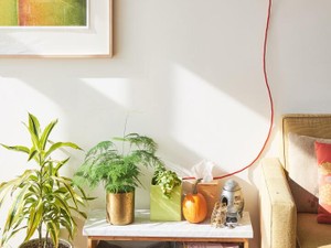 普通になれなかった私は、生きるために日常から元気を集める