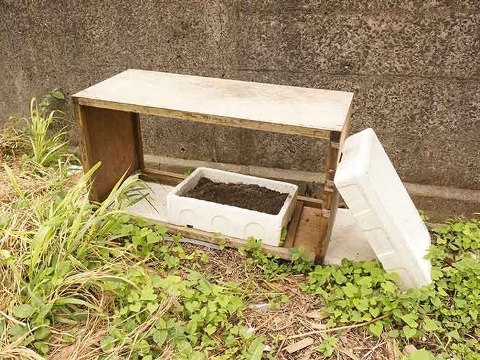 TNR済みの猫のために、住民が設置した猫用のトイレ