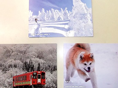 冬は樹氷と秋田犬を見に来て！ スキー場や鉄道がタイアップ
