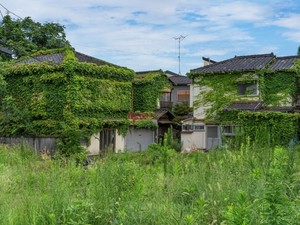 実家を相続放棄するとどうなる？ 管理責任や費用、注意点を解説