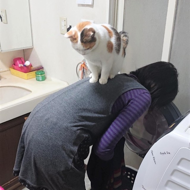 お母さん大好き！いつもくっついていたいミー子ちゃんです