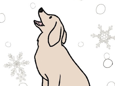 都が８週齢規制を要望へ　次は都条例の改正も期待