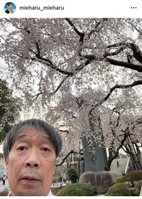 見栄晴インスタグラム＠mieharu_mieharuより
