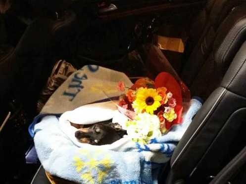 「心霊写真」にあらわれたピン　おかげで減った夫の号泣