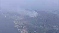 岡山市の山火事の現場　24日午後4時半ごろ