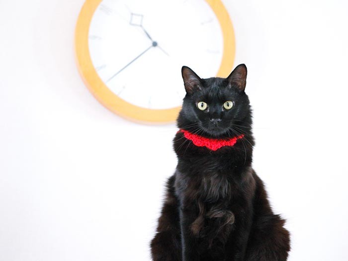 まさに美意識過剰！自ら絵になる場所を選んでいるのでした。