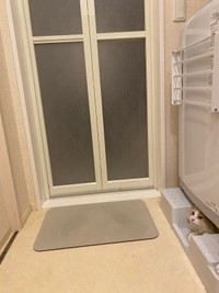 よく見ると…もなかくんがひょっこり顔をのぞかせています（画像提供：を子さん）