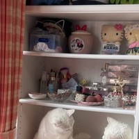 教科書を置こうと思ったら…猫が（提供：ぽむりんとぽわたんさん）※一部トリミング