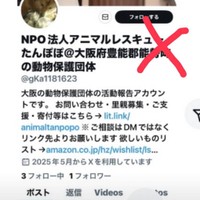 動物保護団体なりすましアカウントの“誘導”DMに注意喚起（「アニマルレスキューたんぽぽ」さん提供）