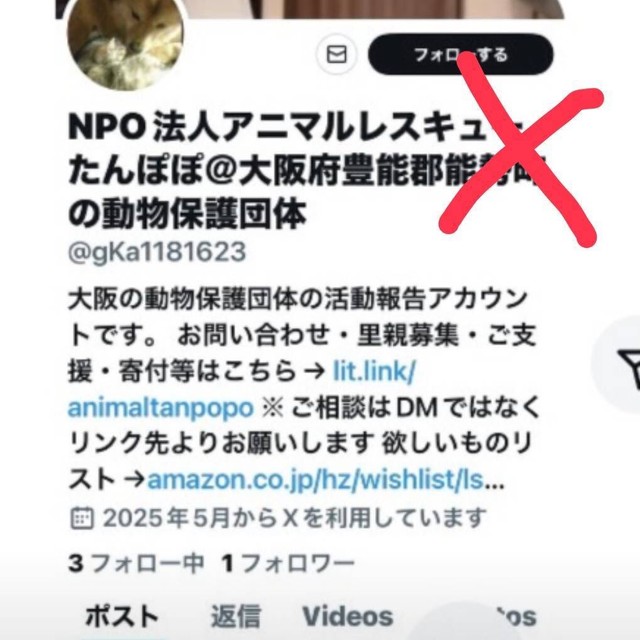 動物保護団体なりすましアカウントの“誘導”DMに注意喚起（「アニマルレスキューたんぽぽ」さん提供）