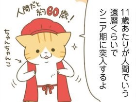 犬猫の気持ちになって老い支度　明るく終活を考えるマンガ