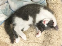 ついにごはんの元に吉報が！