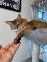 お友だちが遊びに来て、最後はちゃんとお別れの握手