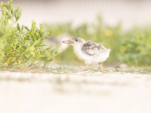 初めてできた彼氏につけられたあだ名が、高尚な「女王」だった理由