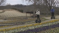まんのう公園を散策
