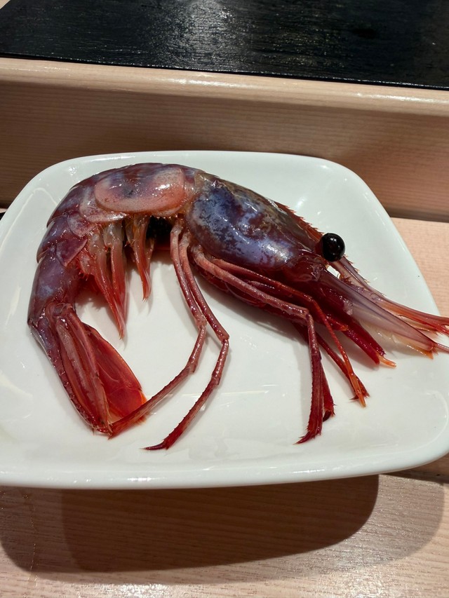 幻のエビ「ラウスブドウエビ」（Yosisyunさん提供）