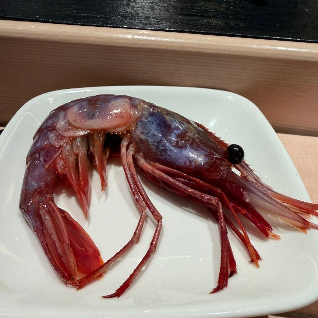 幻のエビ「ラウスブドウエビ」（Yosisyunさん提供）