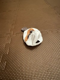 北川景子（@KKeiko_official）さんのXより