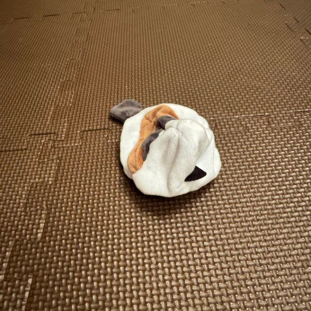 北川景子（@KKeiko_official）さんのXより