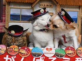駅長犬と “福”駅長猫2匹　きまぐれなおもてなしで乗客を笑顔に