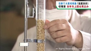 大麦の品質検査　生育順調で品質良好　宮城県一の産地・石巻市