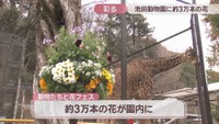 池田動物園　岡山・北区