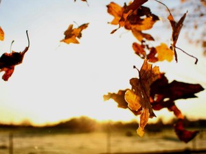 15年前に伝えられなかった私の「本心」。私たちはもう遅すぎた