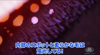 内部の柔らかな毛に光を当てると、きれいに発光しました。