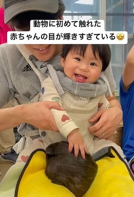 モルモットと初めて触れ合った時の一枚／ぼんずとぱぱさん（@bonzu_papa）提供